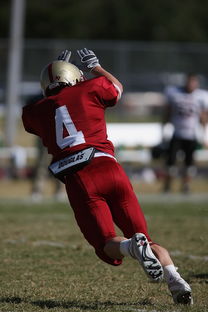 mk体育app-中超球队年度替补球员战术执行效率统计，中超替补年薪